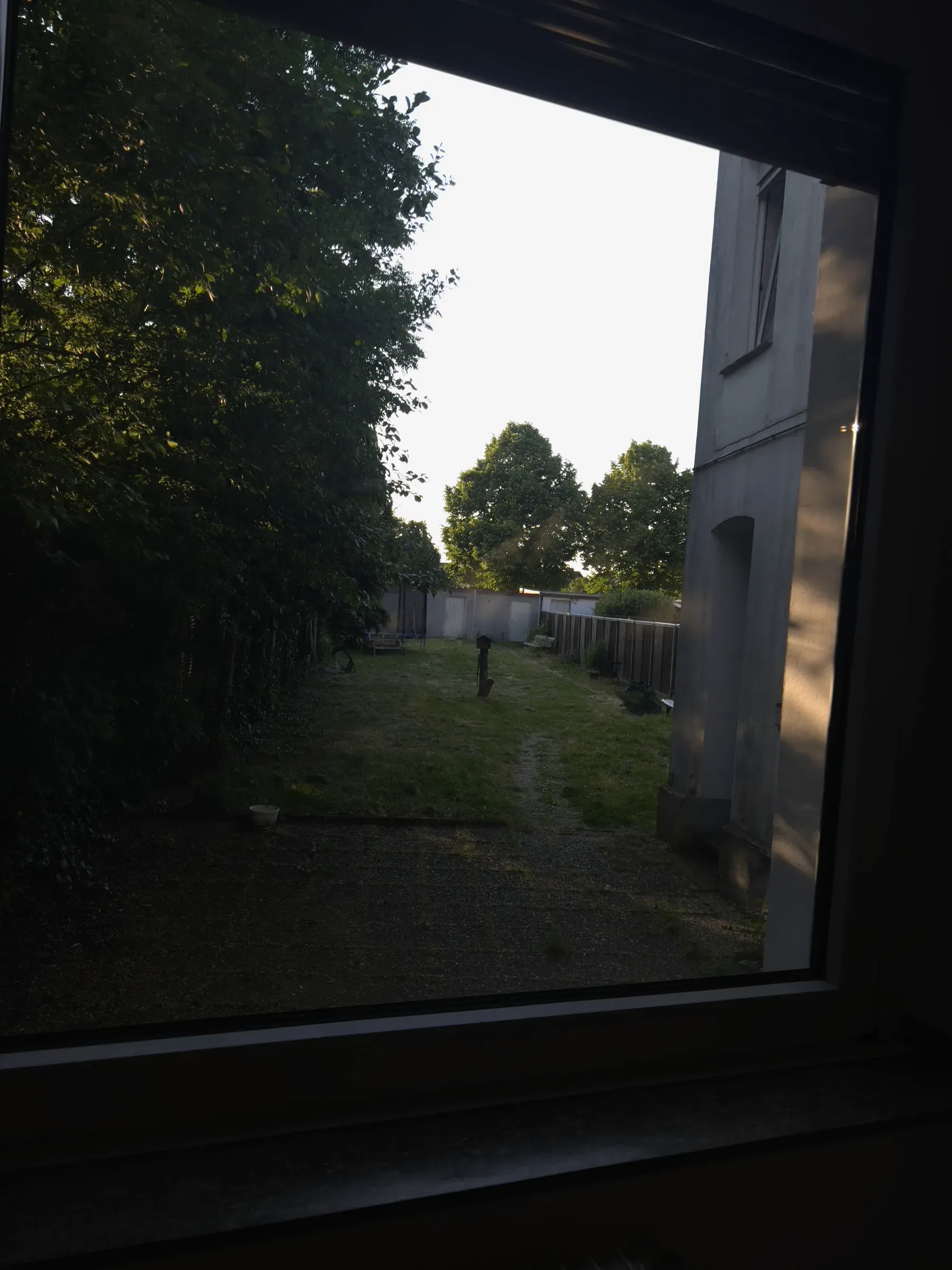 Blick aus dem Fenster in den grünen Garten hinter dem Haus